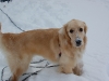 2009-12-20 Snow Days 037
